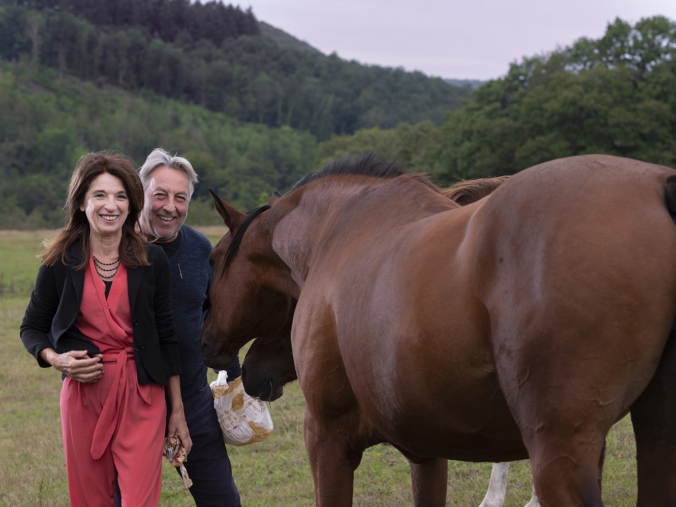 Paardenfotograaf